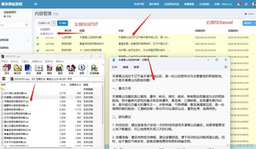 網(wǎng)站排名監(jiān)控的常見挑戰(zhàn) 應(yīng)對搜索引擎算法變化