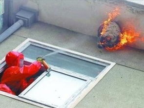 廣州滅馬蜂公司 安全徹底清除殺蜂蟲(chóng)，兼談保潔清洗服務(wù)